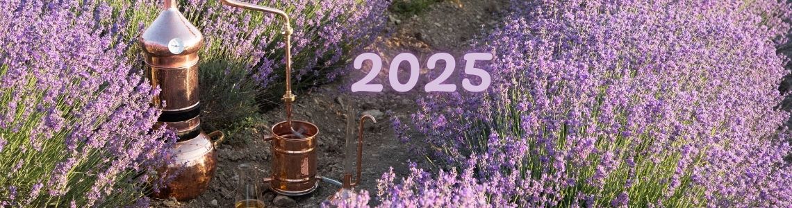 2025. gada sezona 2025. gada sezona