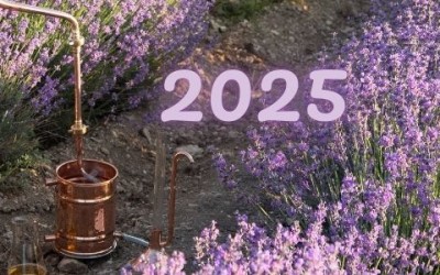 2025. gada sezona