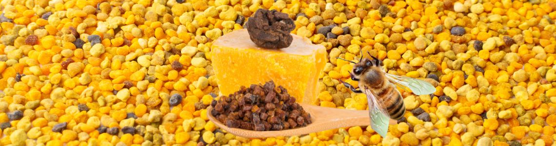 Ziedputekšņi un Bišu maize Ziedputekšņi un Bišu maize