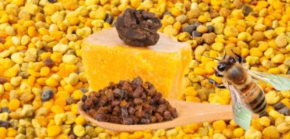 Ziedputekšņi un Bišu maize