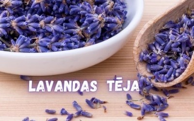 Lavandas tēja